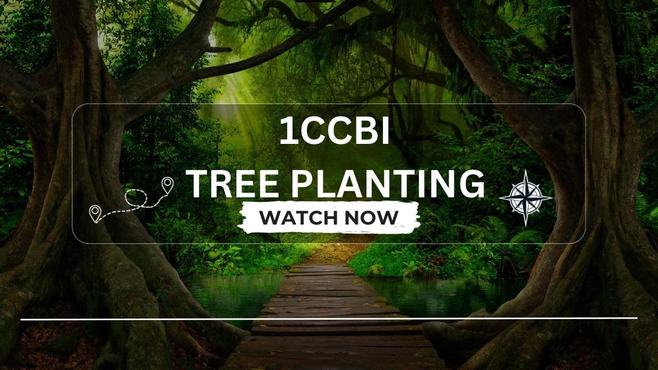 1CCBI Tree planting